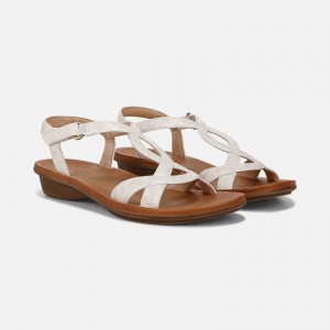 Naturalizer Shoes for Women - SOUL Solo Sandal Beige / Snake HF18-6168K5