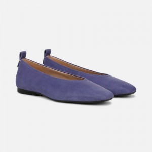 Naturalizer Shoes for Women - 27 Edit Carla Flat Blue ON71-9101N2