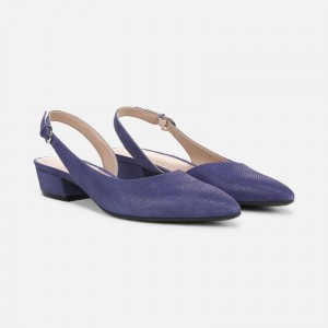 Naturalizer Shoes for Women - Banks Pointed Toe Flat Blue RI51-7711H9
