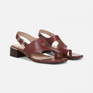 Naturalizer Shoes for Women - 27 EDIT Audra Dress Sandal Brown FN61-3551A5