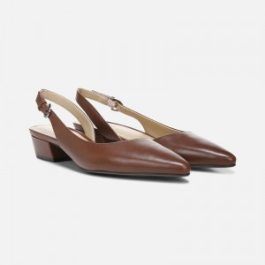 Naturalizer Shoes for Women - Banks Pointed Toe Flat Brown FW78-4928G5