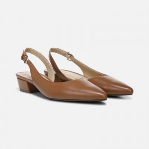 Naturalizer Shoes for Women - Banks Pointed Toe Flat Brown RC05-9365Q9