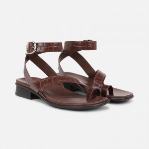 Naturalizer Shoes for Women - Birch Sandal Brown QS77-6307L8