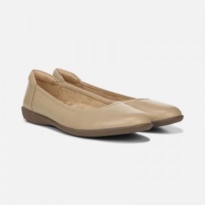 Naturalizer Shoes for Women - Flexy Flat Brown FP41-8331D1