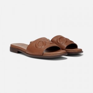 Naturalizer Shoes for Women - Genevieve Slide Sandal Brown CK35-3815D2