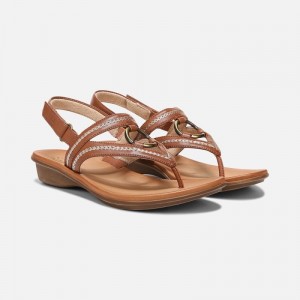 Naturalizer Shoes for Women - SOUL Sunny Sandal Brown PO69-2629U0