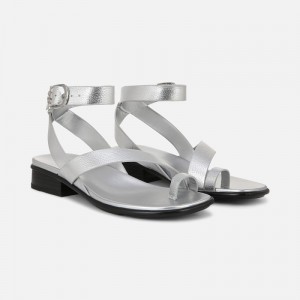 Naturalizer Shoes for Women - Birch Sandal Silver NC63-4573H3
