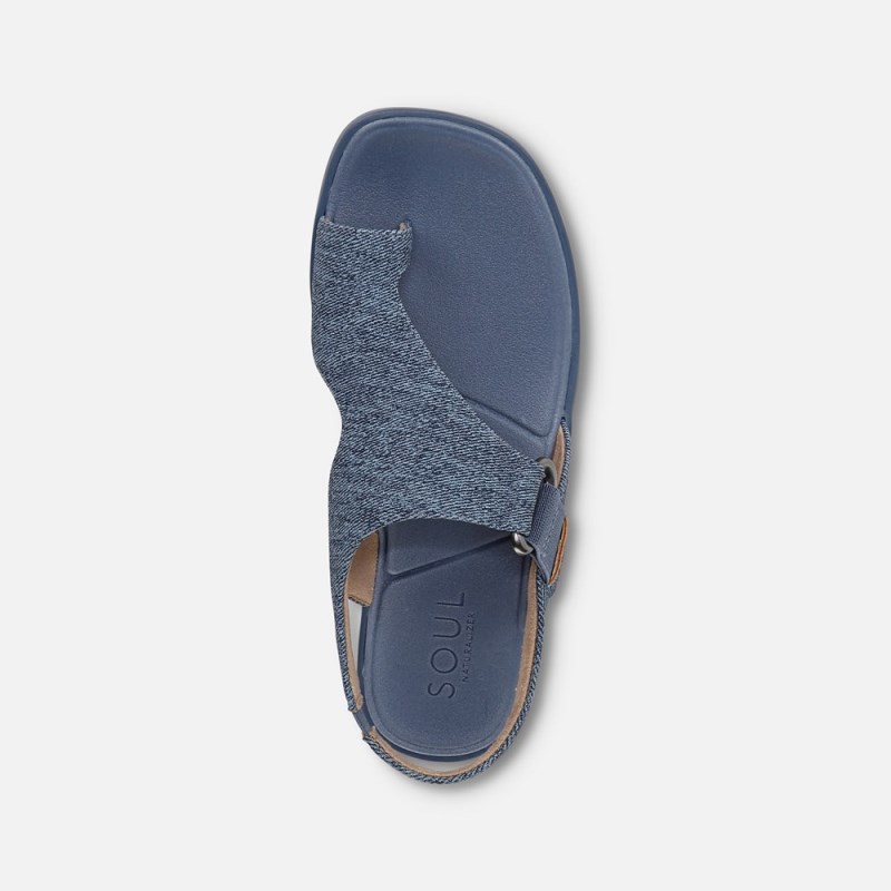 Naturalizer Shoes for Women - SOUL Freya Sandal Blue WH85-4435J3