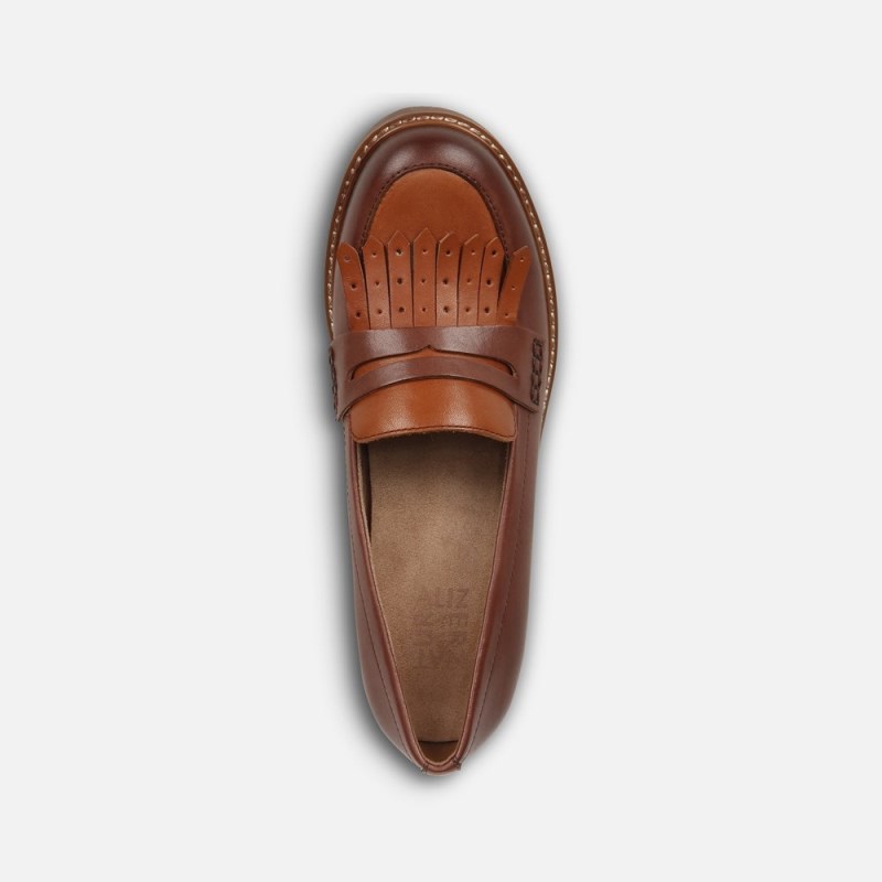 Naturalizer Shoes for Women - Darcy Loafer Brown Multi QE29-1719F8